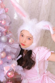 妖精的森林